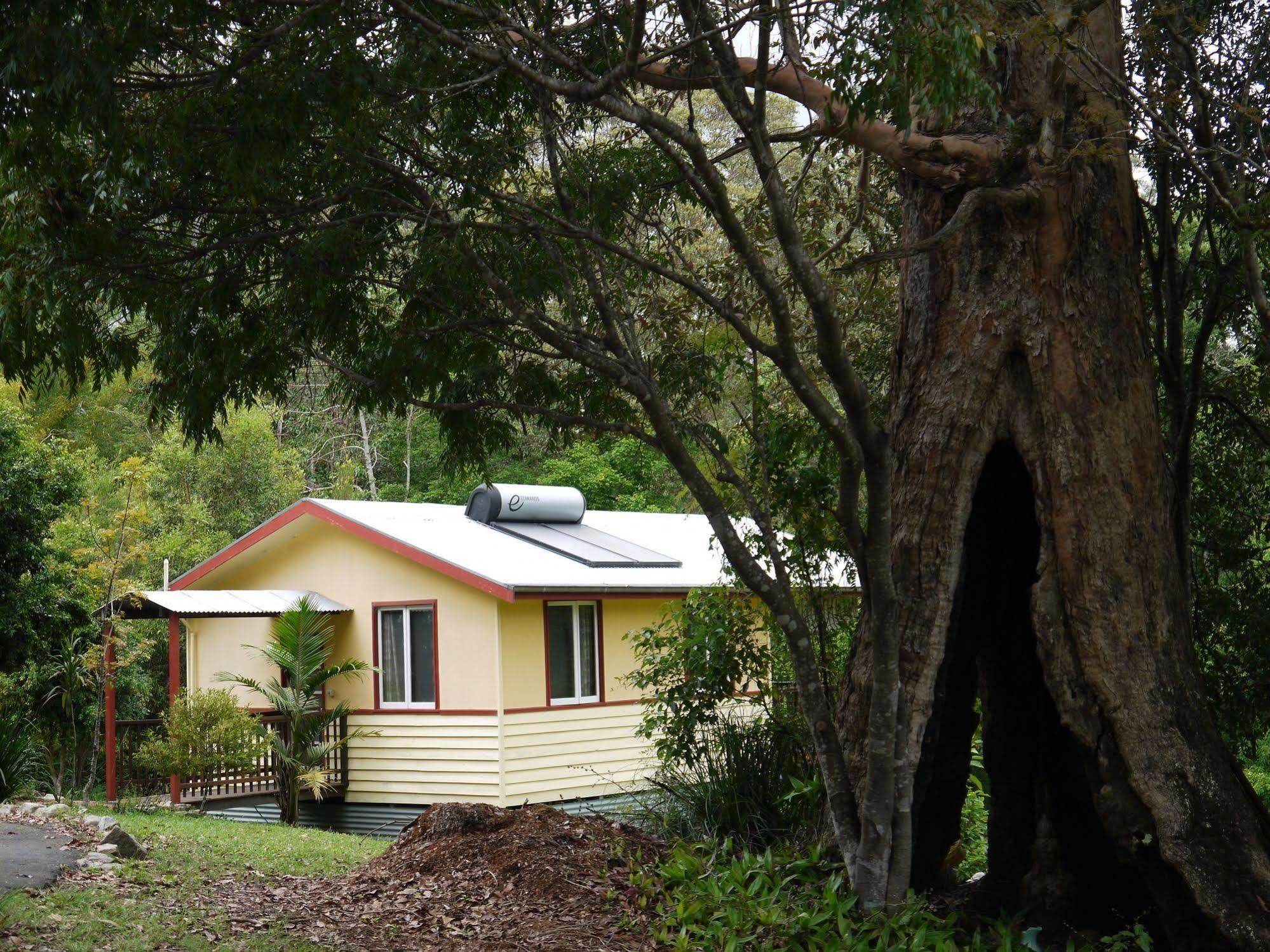 הוילה Teretre Cabins נימבין מראה חיצוני תמונה